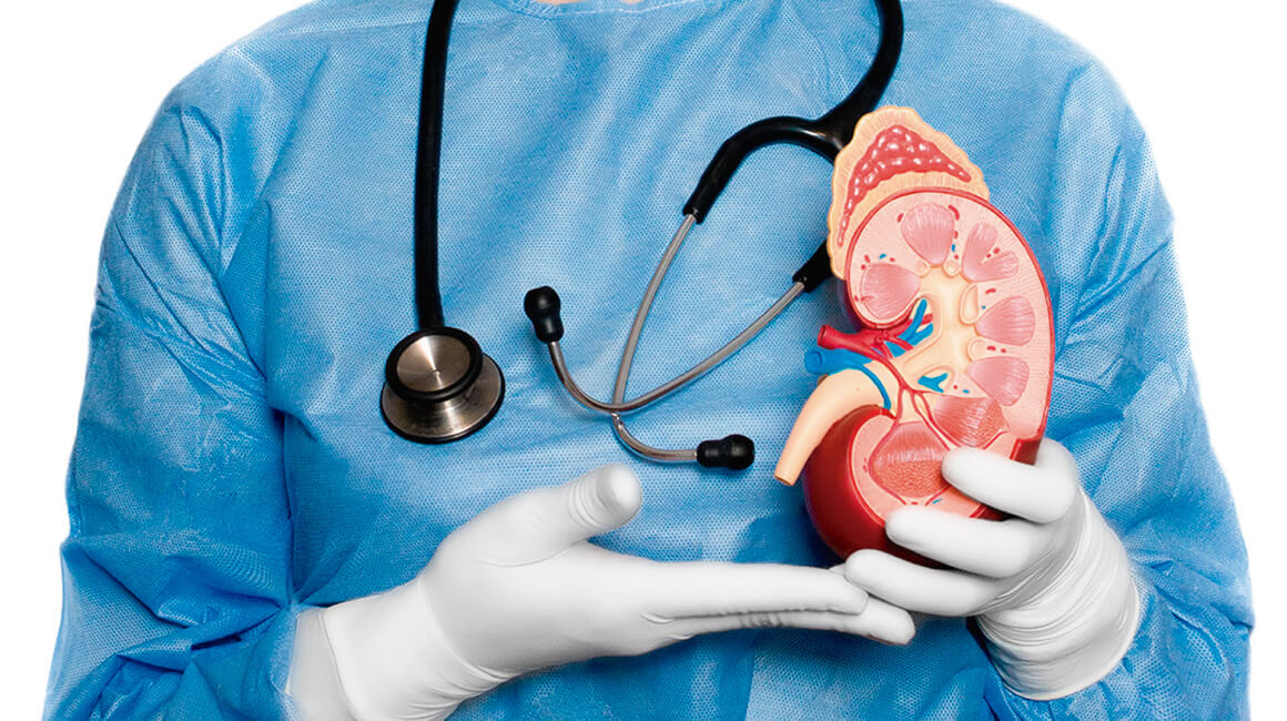 Médico nefrólogo
