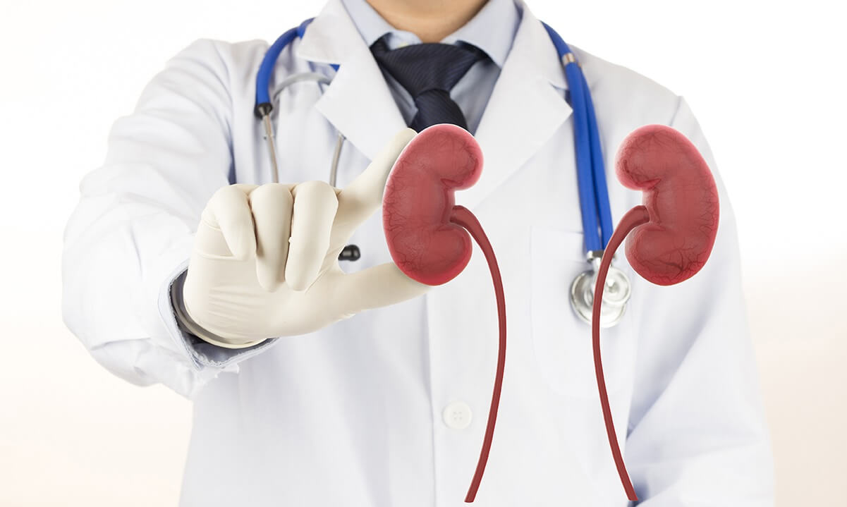 Nefróloga especialista