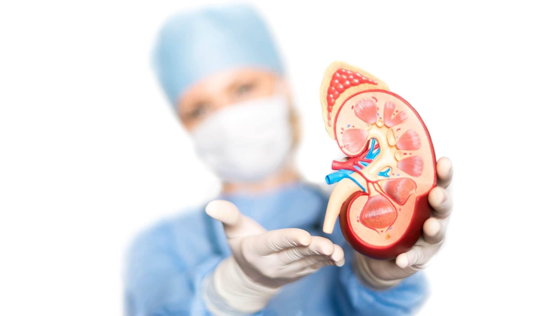 Nefrólogo cerca de Santa Ana Tlapaltitlán Estado de México