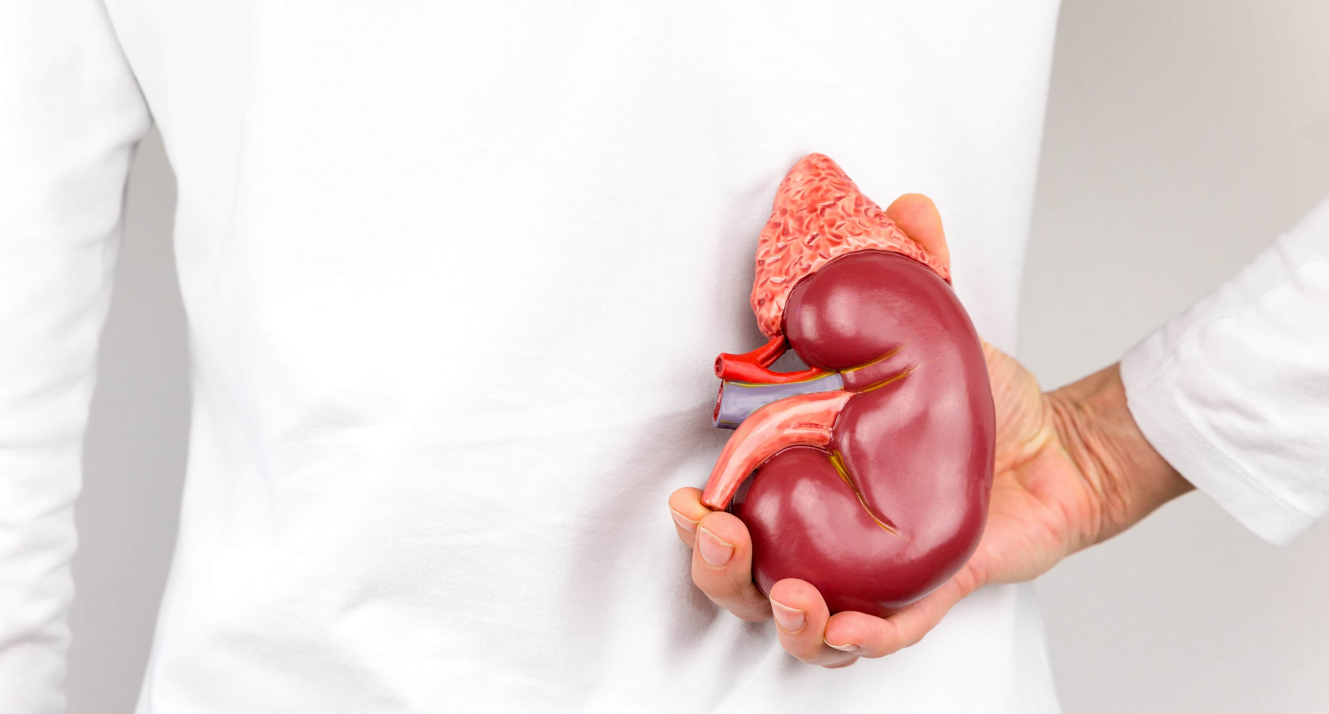 Nefrólogo en Metepec Estado de México